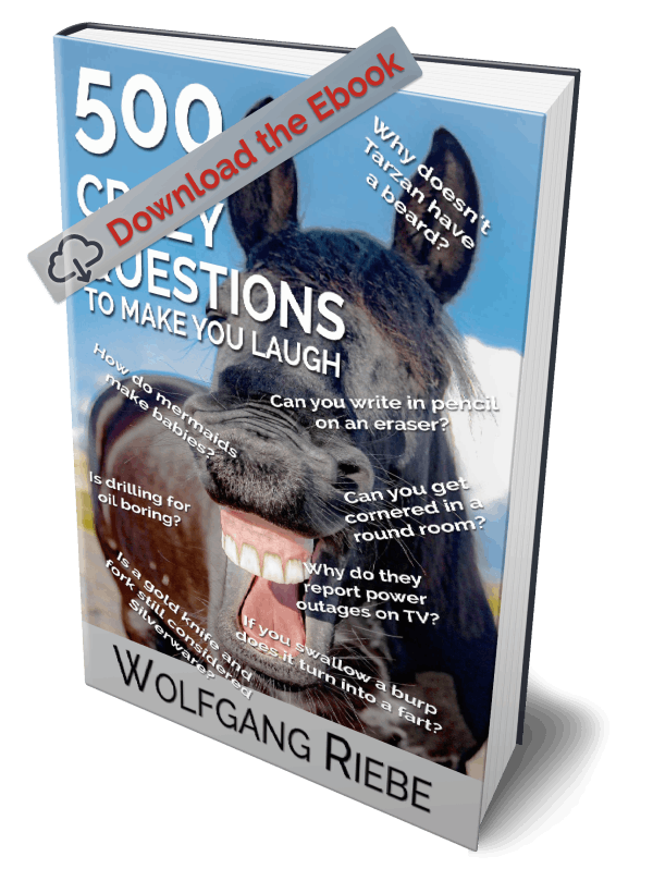 500-crazy-questions-wolfgang-riebe